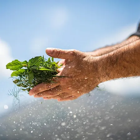 Petra & Fos Boutique &