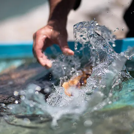 Petra & Fos Boutique & 이틸로