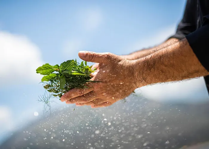 Petra & Fos Boutique &